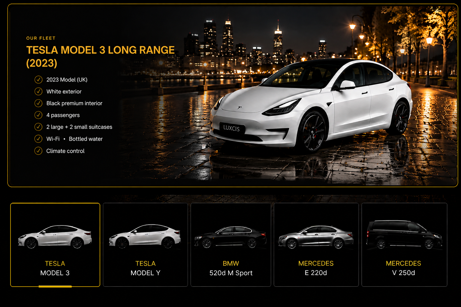 Tesla Model 3 Long Range fleet presentation