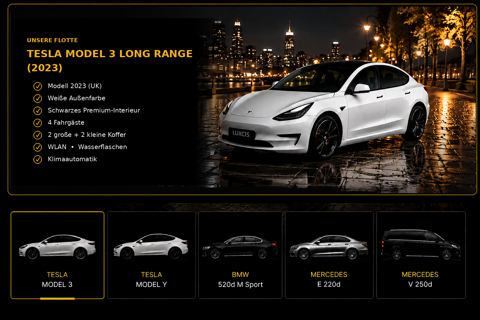 Tesla Model 3 Long Range fleet presentation