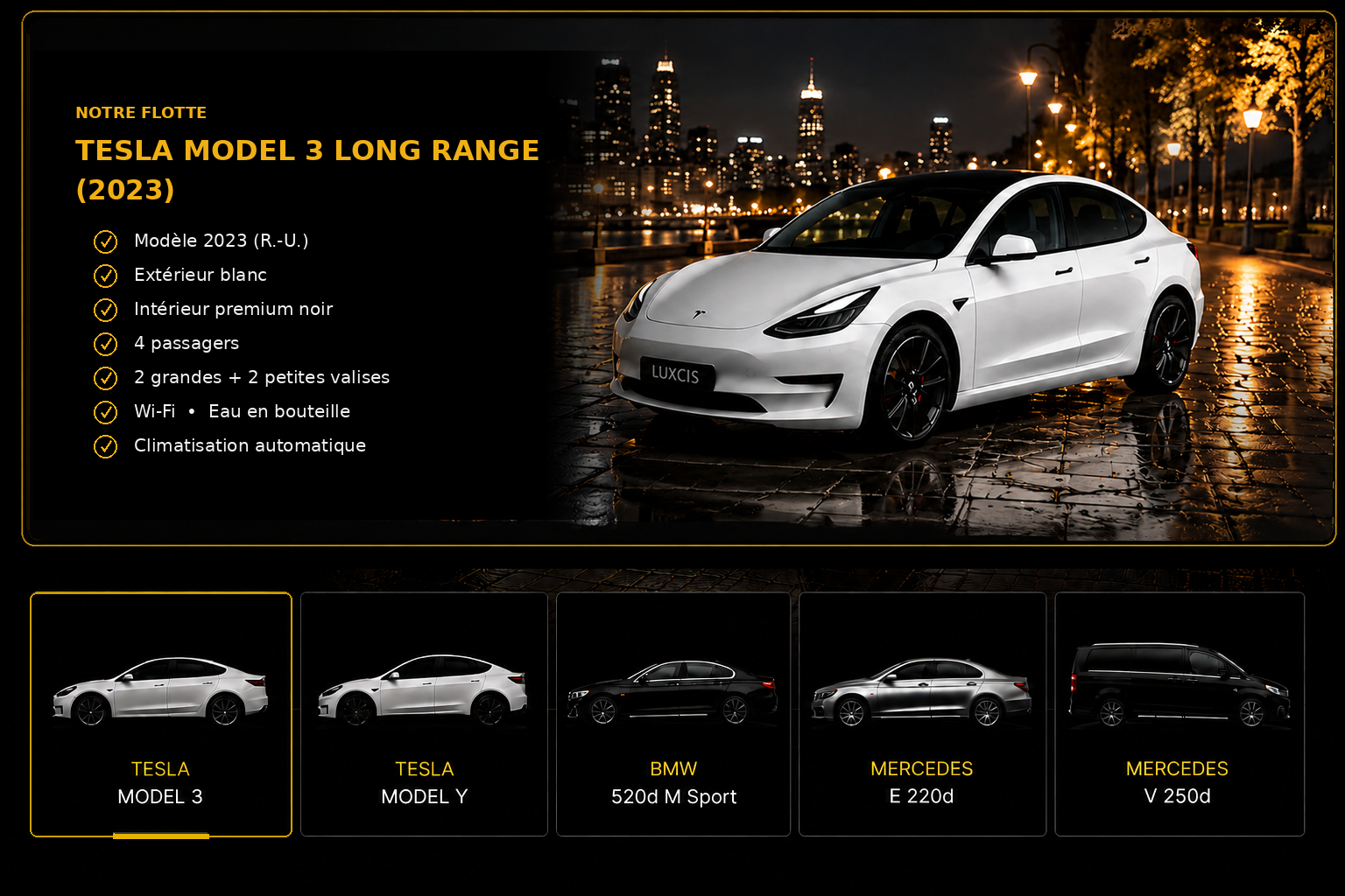 Tesla Model 3 Long Range fleet presentation